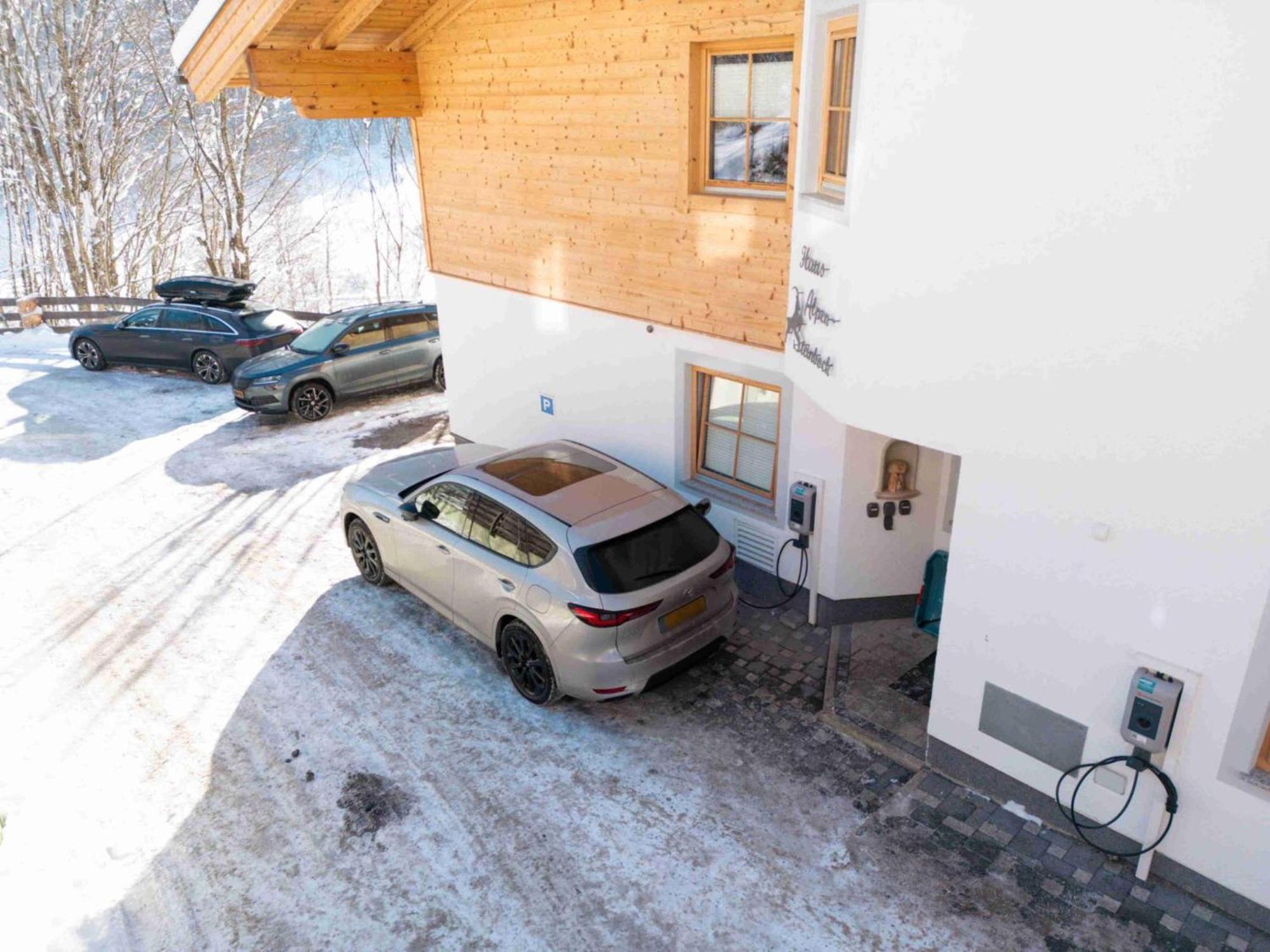 Apartment Alpensteinbock A
