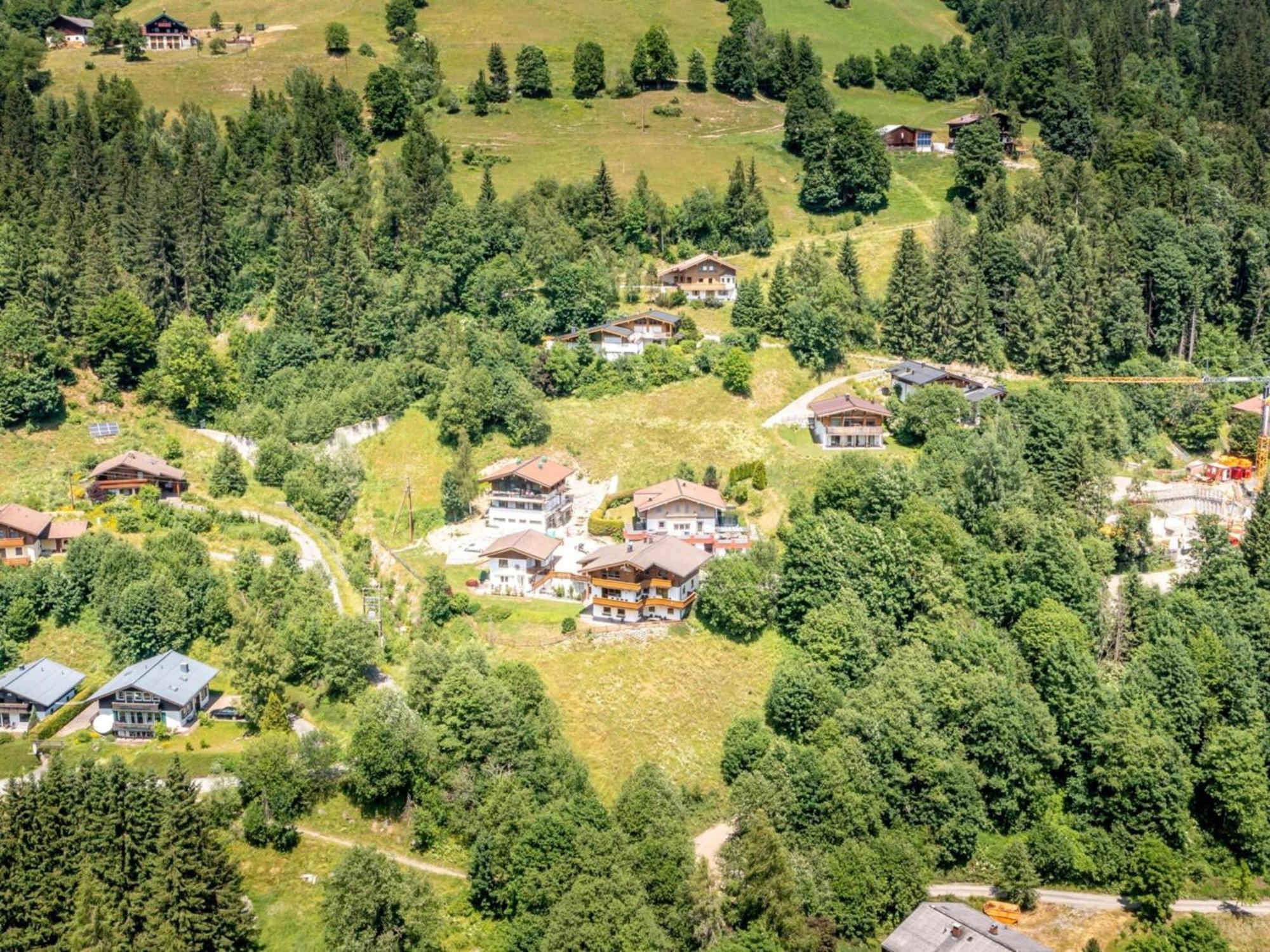 Alpensteinbock A Saalbach-Hinterglemm