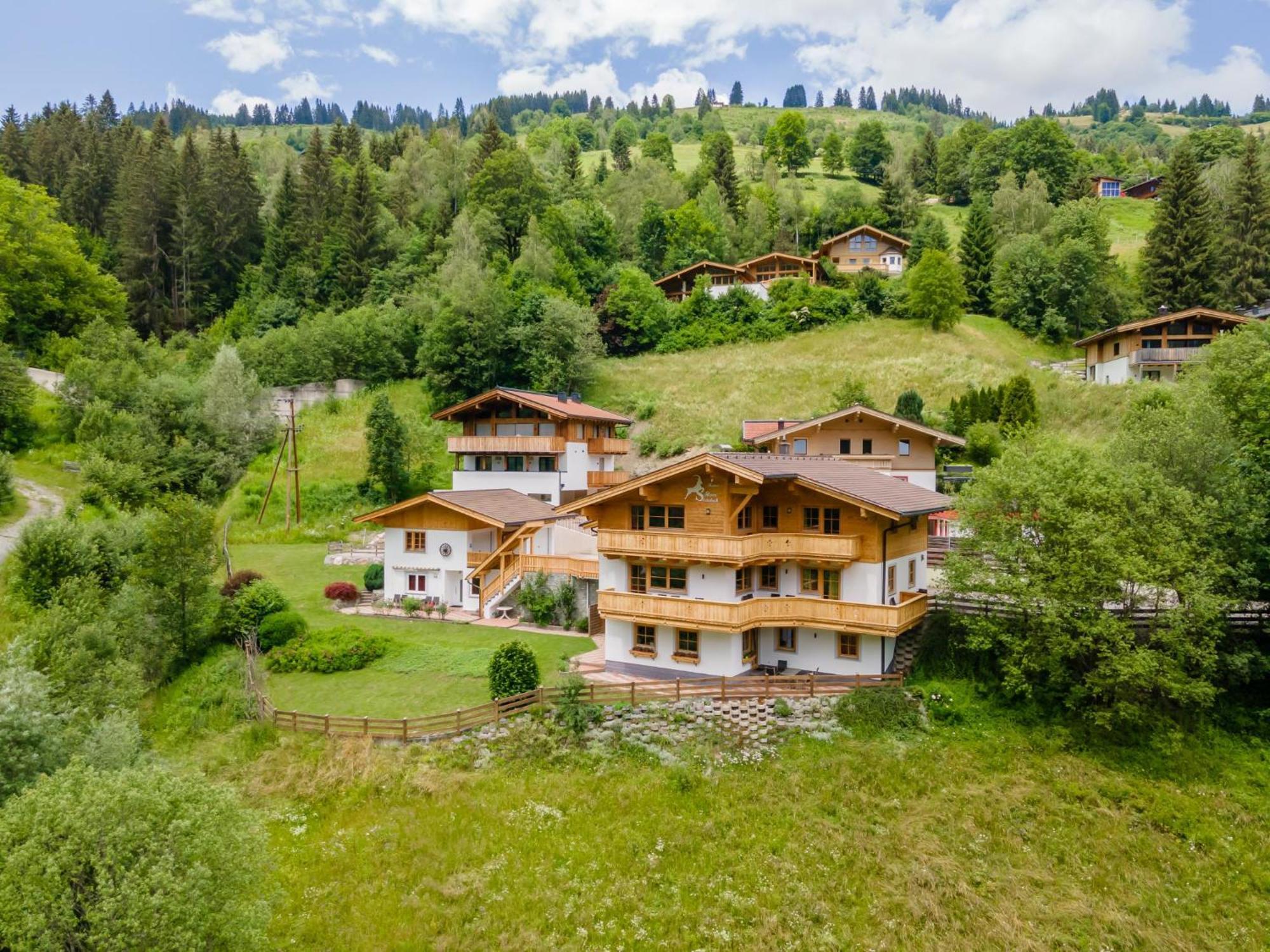 Alpensteinbock A * Saalbach-Hinterglemm