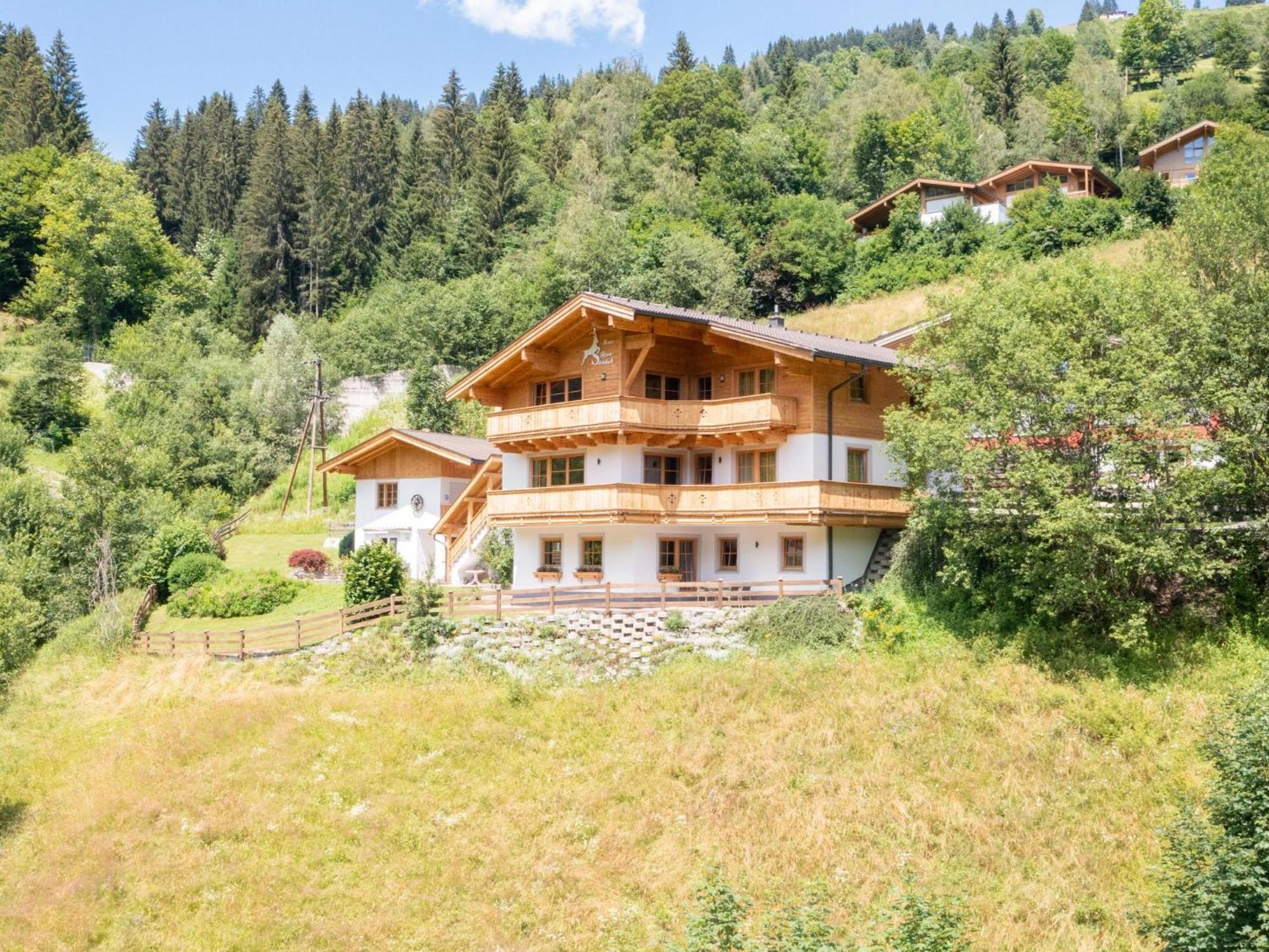Alpensteinbock A *