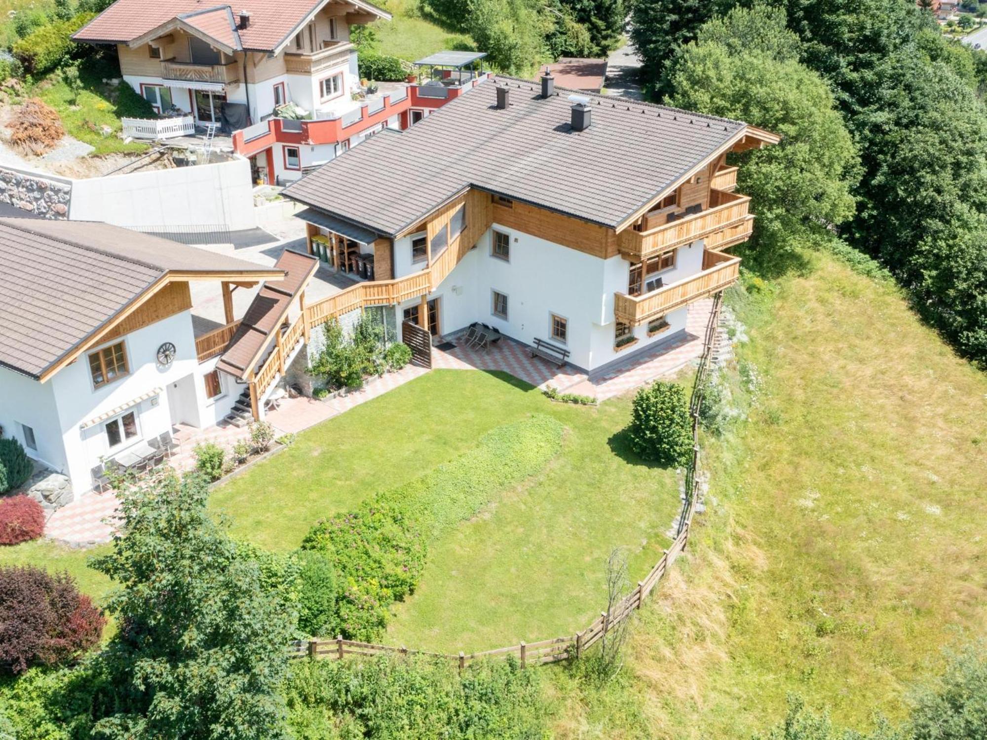 Alpensteinbock A